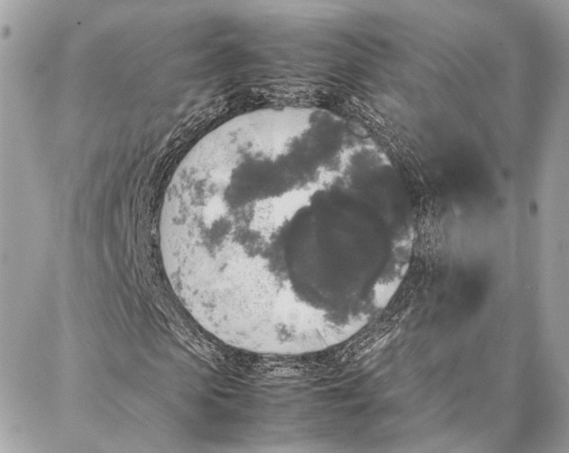 X0000086920913200705071324