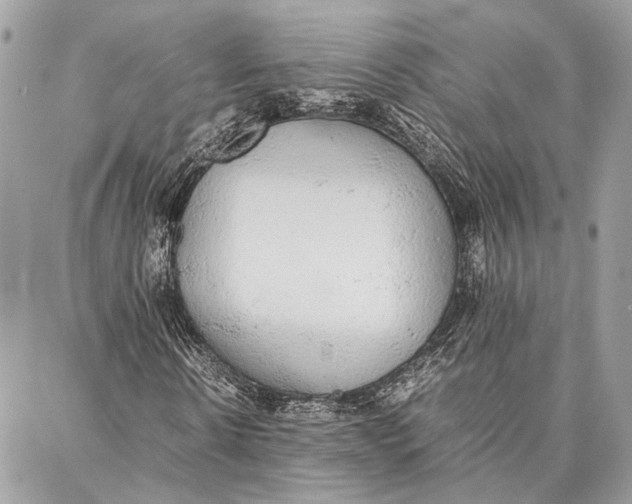 X0000086920914200705071324