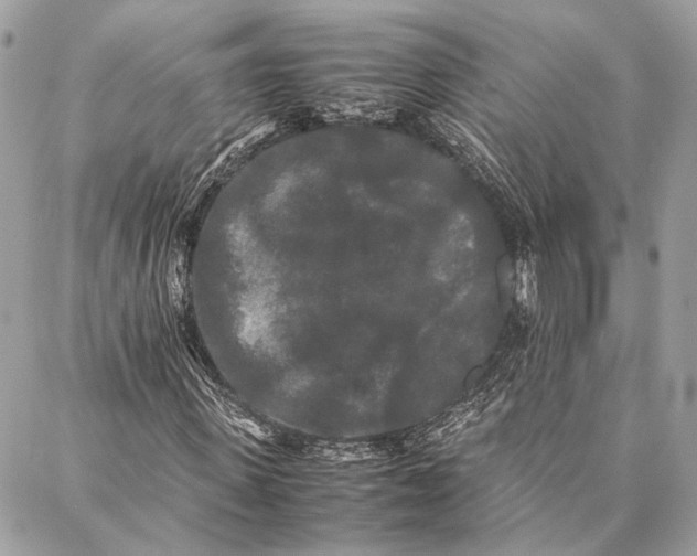 X0000086920915200705071324