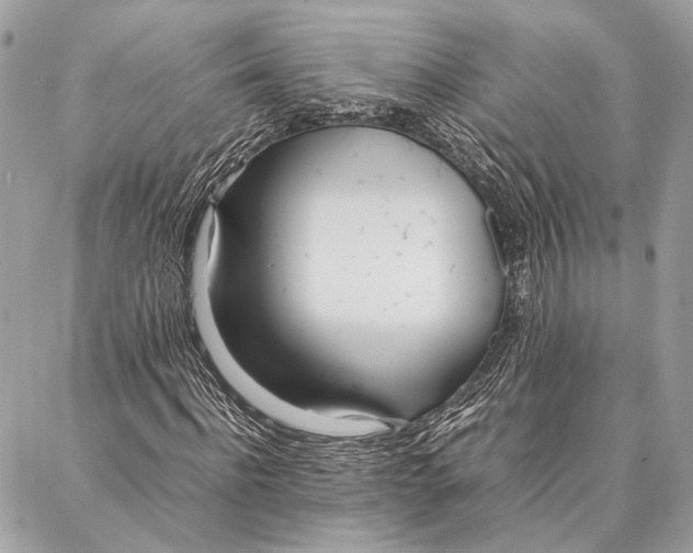 X0000086920916200705071324