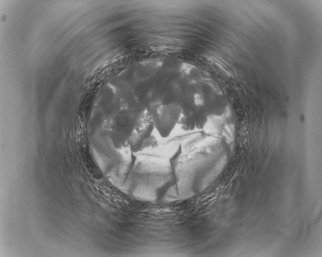 X0000086920917200705071324