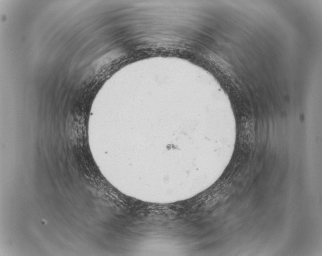 X0000086920918200705071324