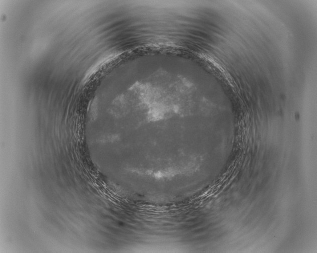 X0000086920919200705071324