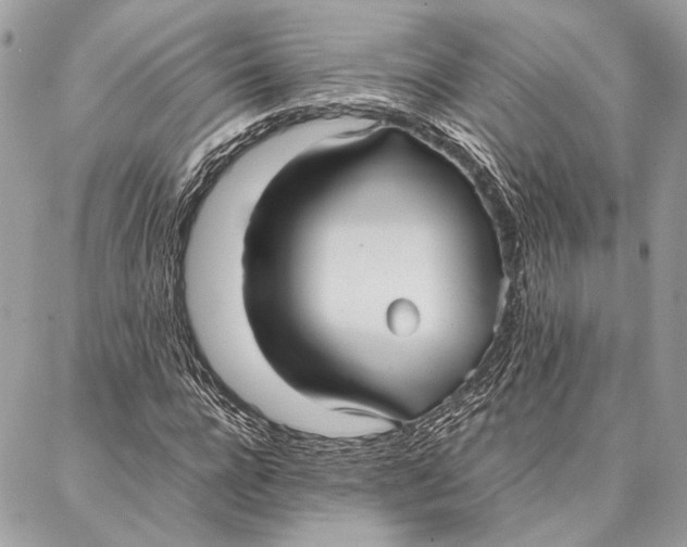 X0000086920920200705071324