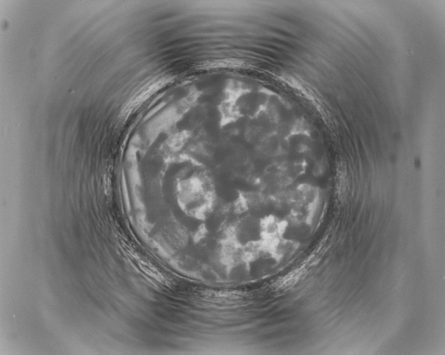 X0000086920921200705071324