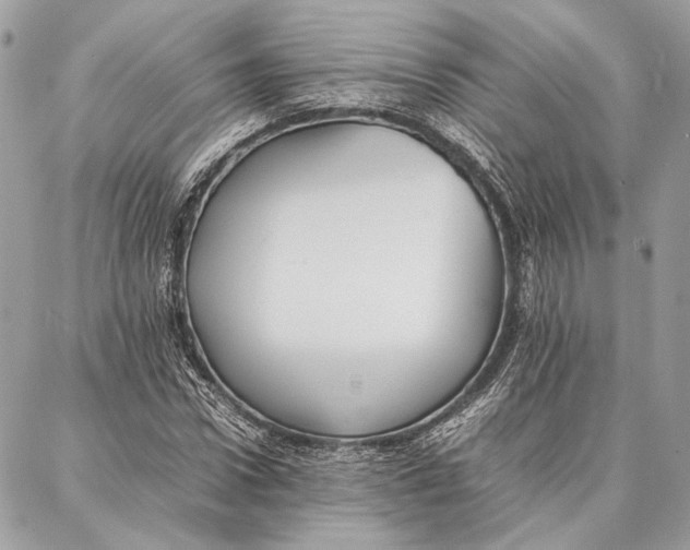 X0000086920922200705071324