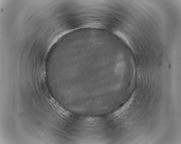 X0000086920923200705071324