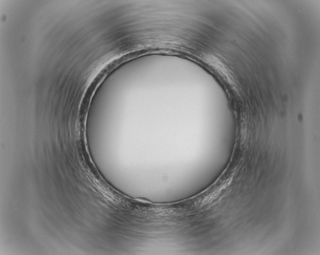 X0000086920924200705071324