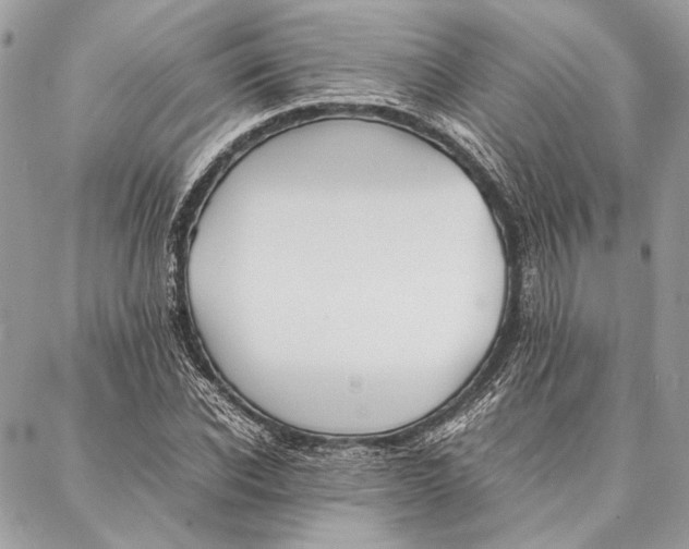 X0000086920926200705071324