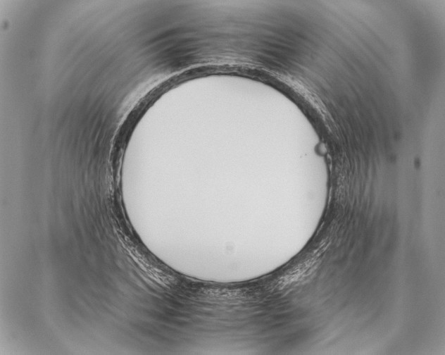 X0000086920927200705071324