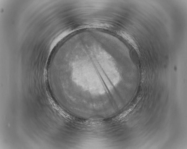 X0000086920928200705071324