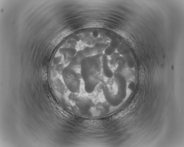 X0000086920929200705071324