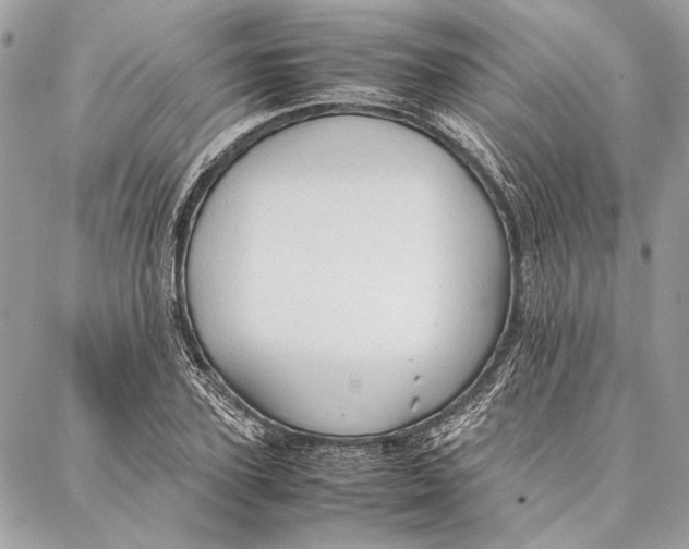 X0000086920931200705071324