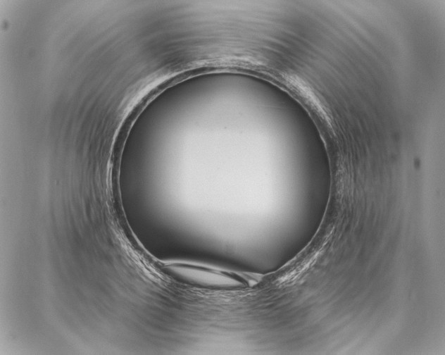 X0000086920932200705071324