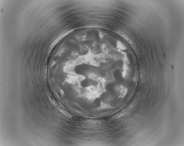 X0000086920933200705071324