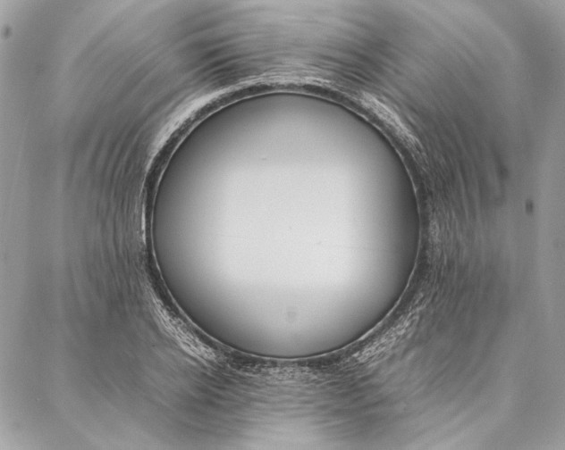 X0000086920934200705071324