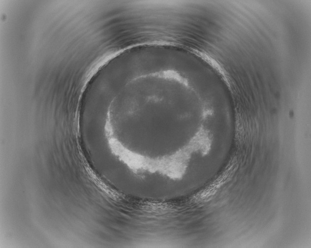 X0000086920935200705071324