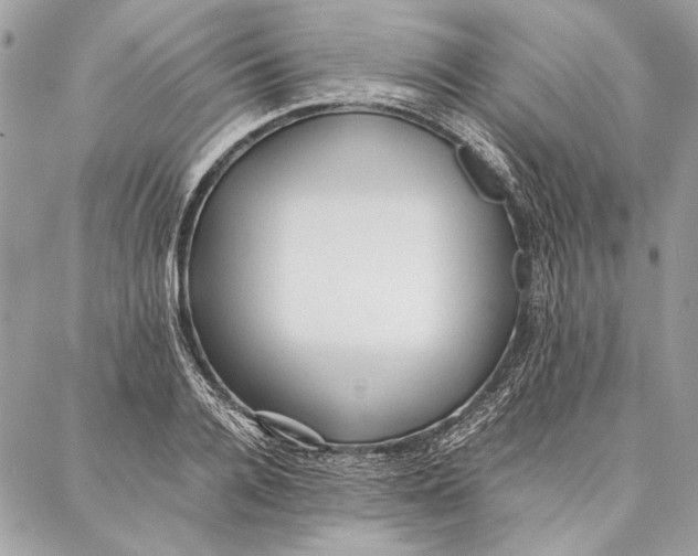 X0000086920936200705071324