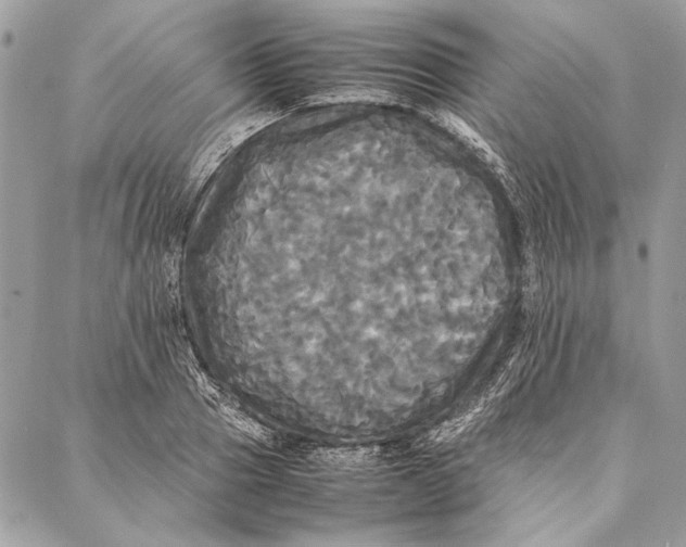 X0000086920937200705071324