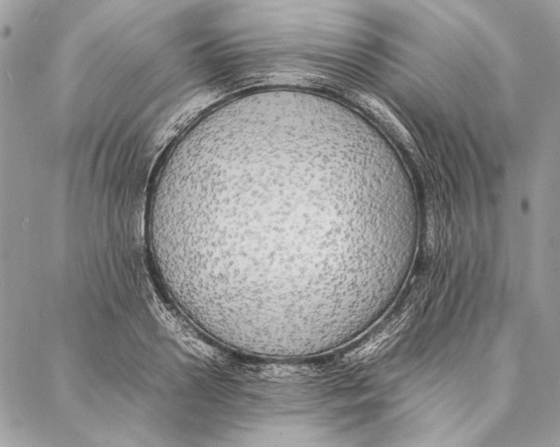 X0000086920938200705071324