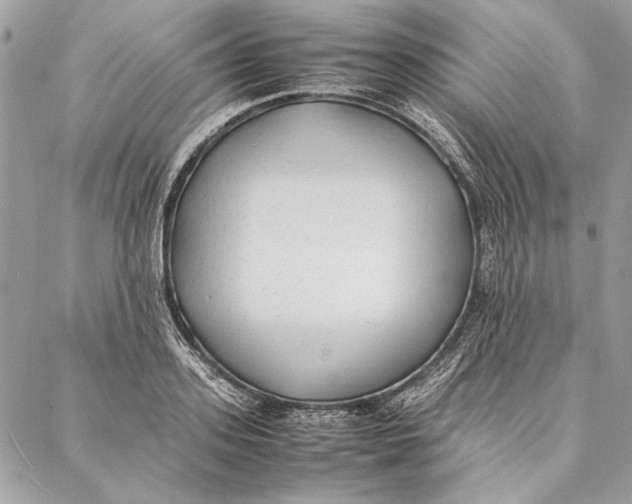 X0000086920939200705071324