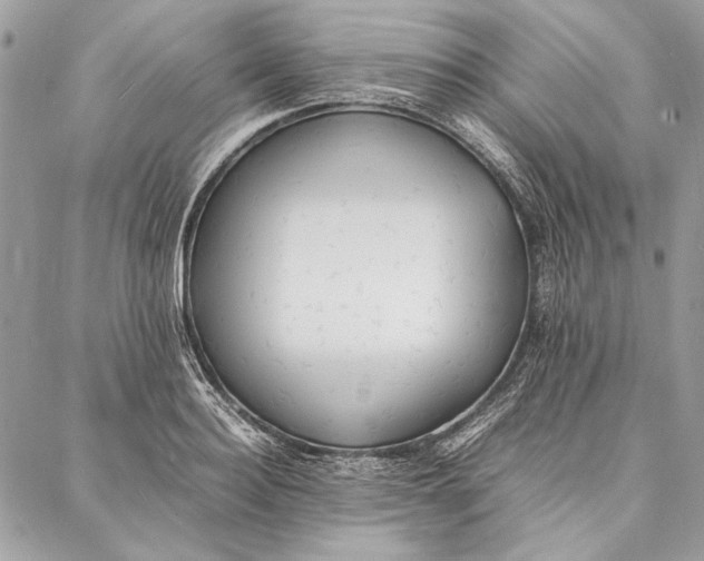 X0000086920940200705071324