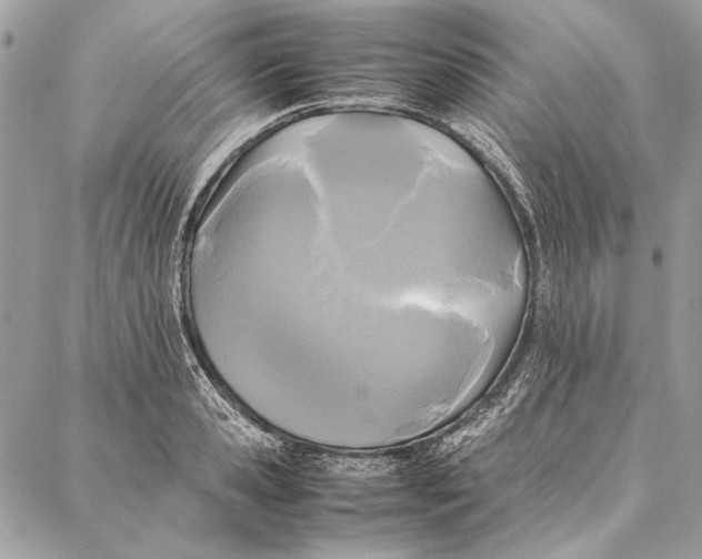 X0000086920941200705071324