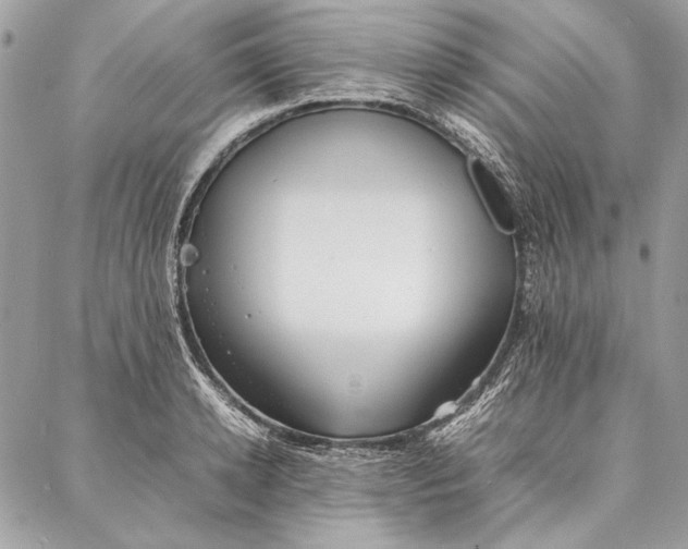 X0000086920942200705071324