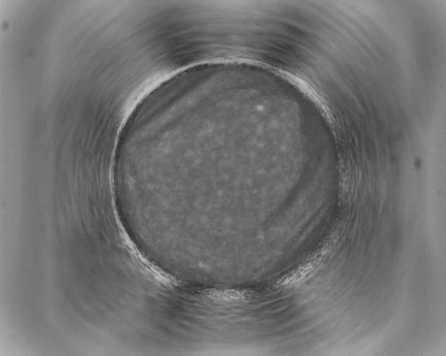 X0000086920943200705071324