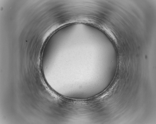 X0000086920944200705071324