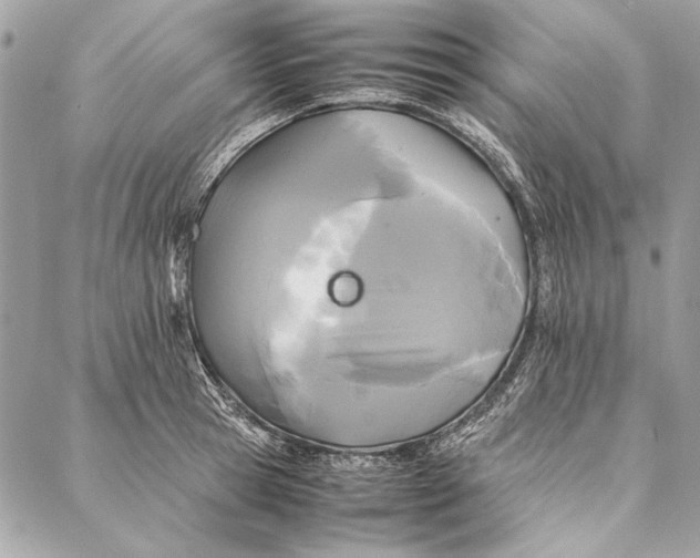 X0000086920945200705071324