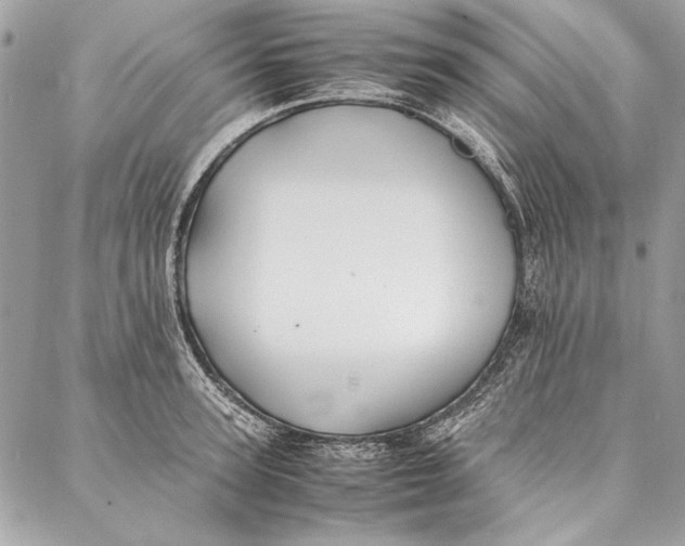 X0000086920947200705071324