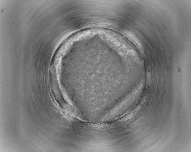 X0000086920948200705071324