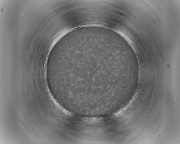 X0000086920949200705071324