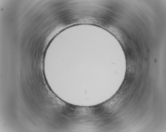 X0000086920950200705071325