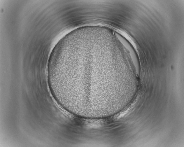 X0000086920951200705071325