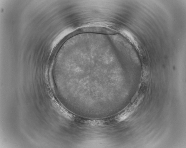 X0000086920952200705071325