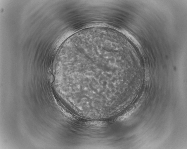 X0000086920953200705071325