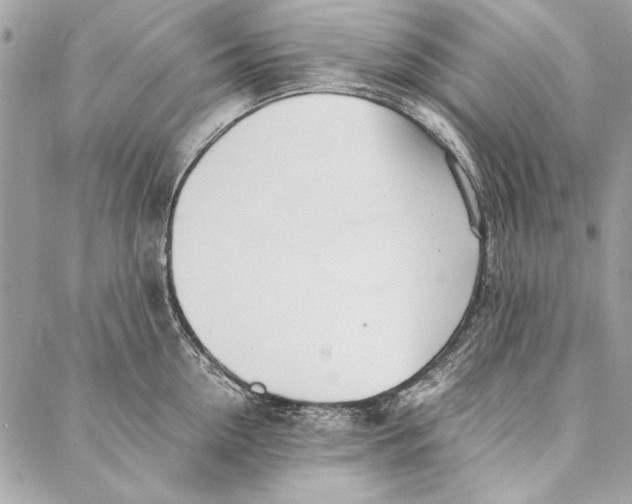 X0000086920954200705071325