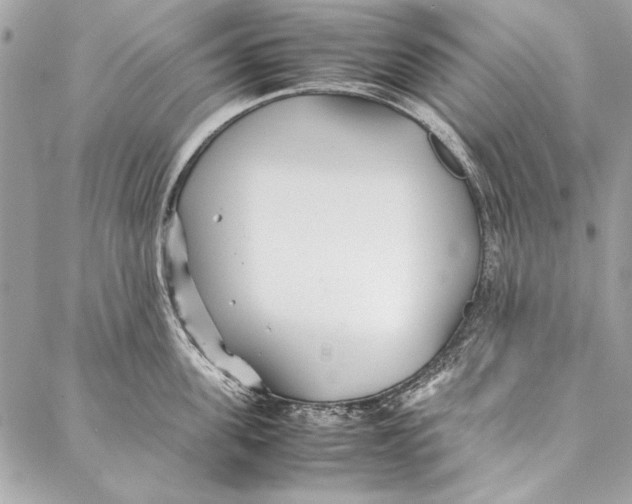 X0000086920955200705071325