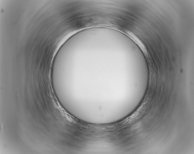 X0000086920956200705071325