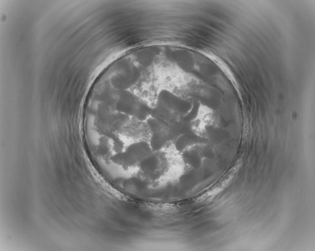 X0000086920957200705071325