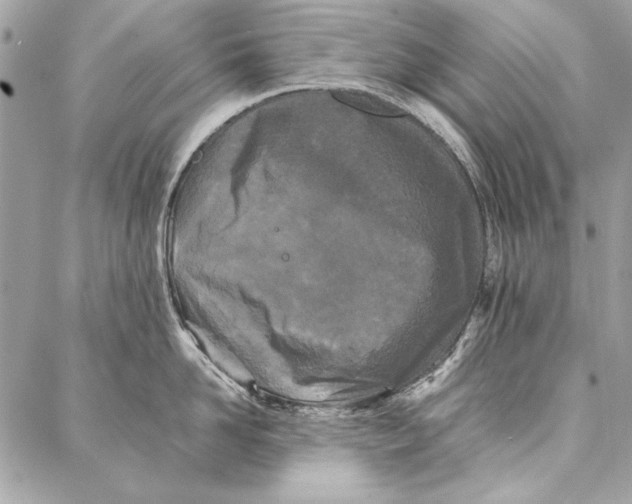 X0000086920958200705071325