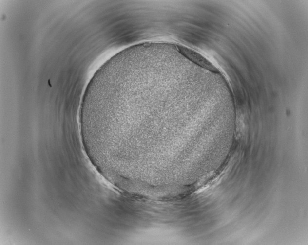 X0000086920959200705071325