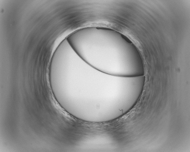 X0000086920960200705071325