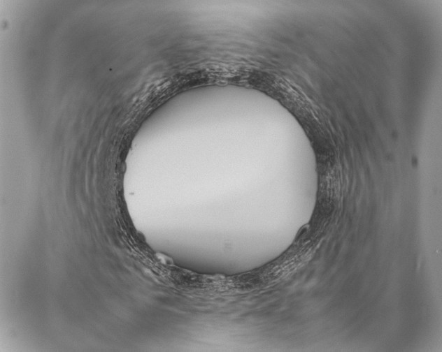 X0000086920961200705071324