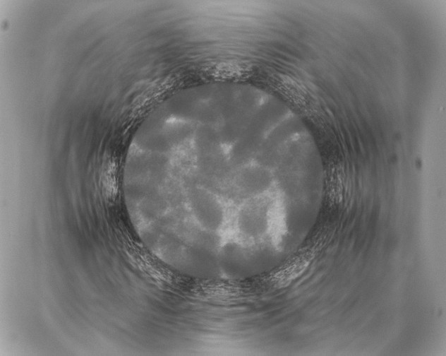 X0000086920962200705071324