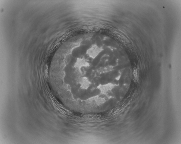 X0000086920963200705071324