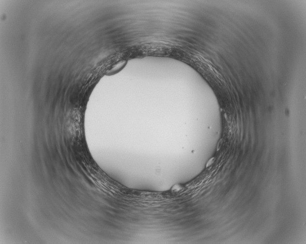 X0000086920964200705071324