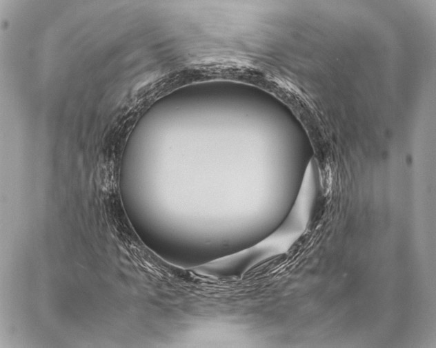 X0000086920965200705071324